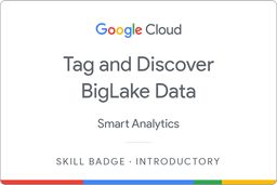 Tag and Discover BigLake Data
