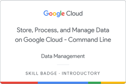 Store, Process, and Manage Data on Google Cloud - Command Line